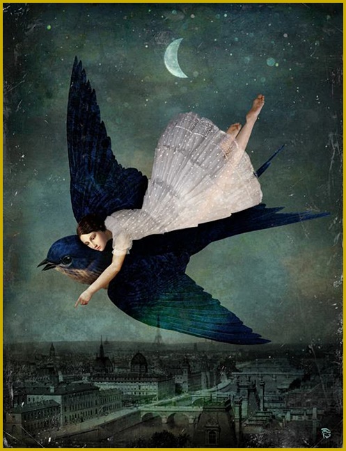 Christian Schloe - 2