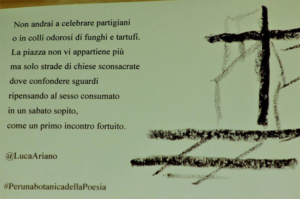 46712862_116068346075638_4641914401983561728_n