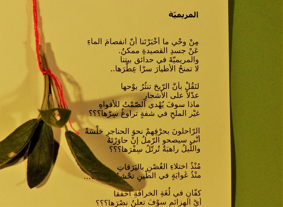 46717231_116068372742302_7803967383697096704_n