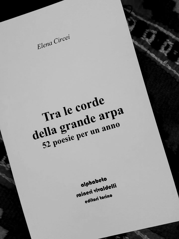 105286697_1592788327570880_2238066206485983443_o