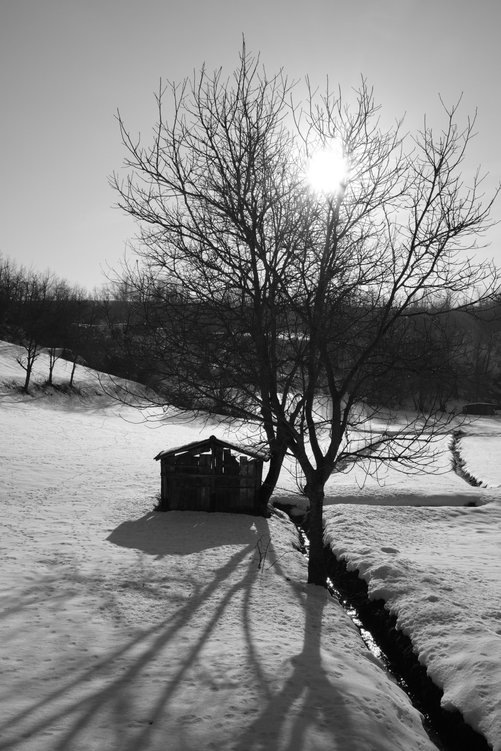 VALERIA RAIMONDI | Una poesia per&nbsp;restare